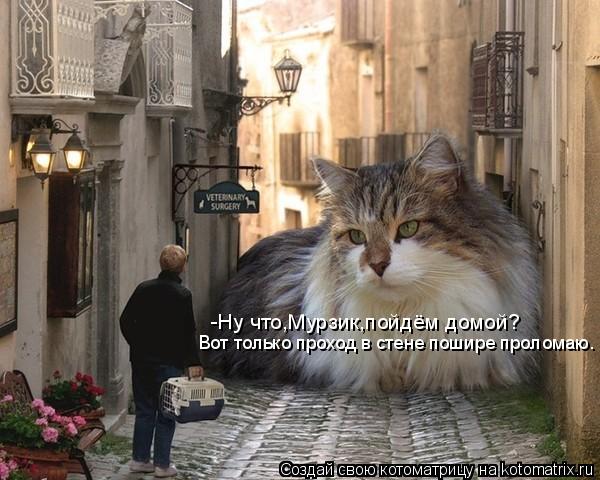 Котоматрица: -Ну что,Мурзик,пойдём домой? Вот только проход в стене пошире проломаю.