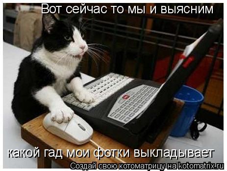 Котоматрица: Вот сейчас то мы и выясним какой гад мои фотки выкладывает