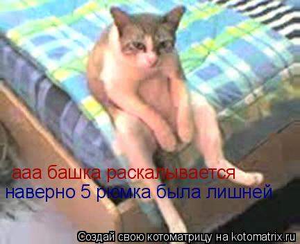 Котоматрица: ааа башка раскалывается наверно 5 рюмка была лишней