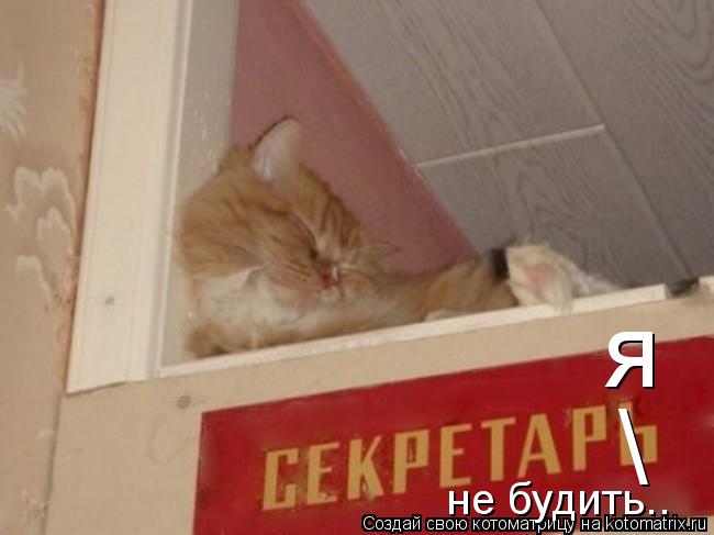 Котоматрица: \ я не будить..
