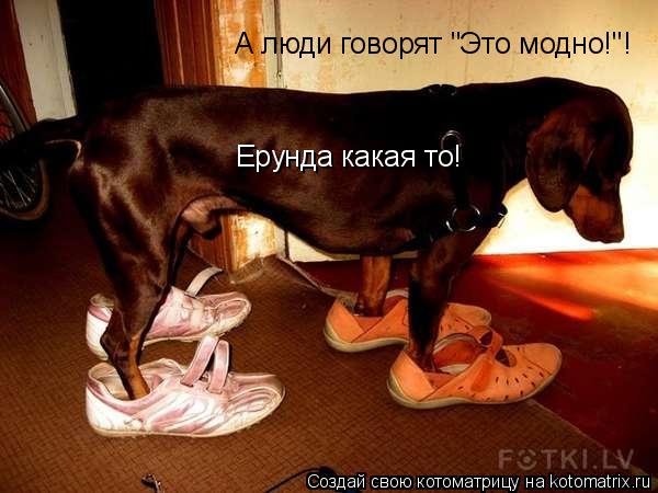 Котоматрица: А люди говорят "Это модно!"! Ерунда какая то!