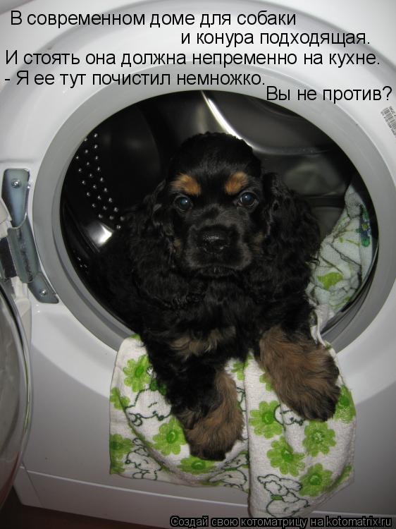 Котоматрица: В современном доме для собаки и конура подходящая. И стоять она должна непременно на кухне. - Я ее тут почистил немножко. Вы не против?