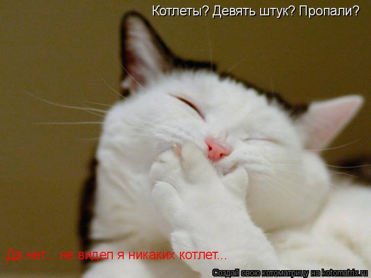 Котоматрица: Котлеты? Девять штук? Пропали? Да нет... не видел я никаких котлет...