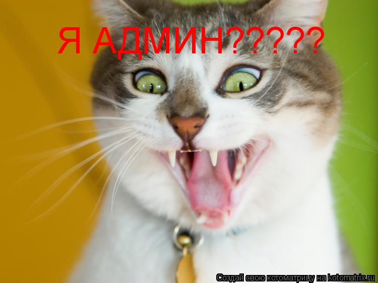 Котоматрица: Я АДМИН?????