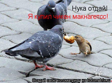 Котоматрица: Нука отдай! Я купил чикен макнагетсс!