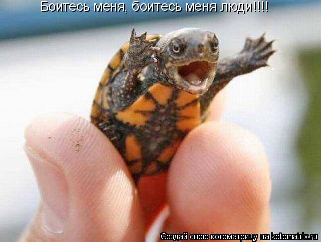 Котоматрица: Боитесь меня, боитесь меня люди!!!!