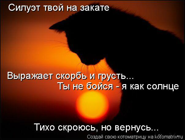 Котоматрица: Силуэт твой на закате Выражает скорбь и грусть... Ты не бойся - я как солнце Тихо скроюсь, но вернусь...