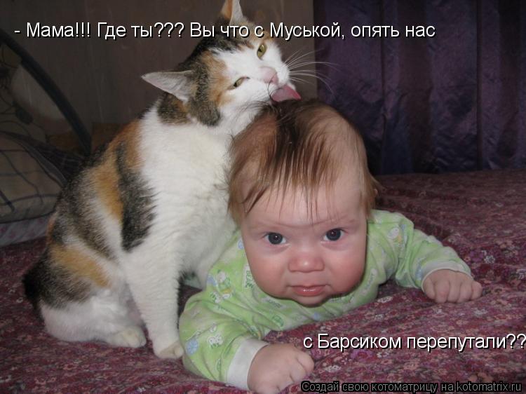 Котоматрица: - Мама!!! Где ты??? Вы что с Муськой, опять нас с Барсиком перепутали???