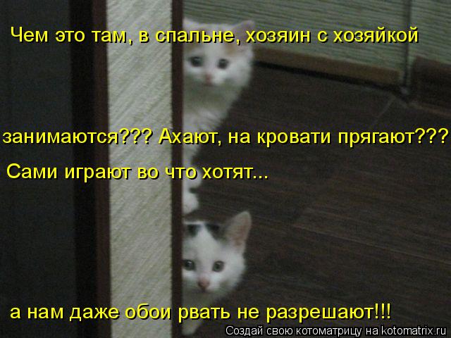 Котоматрица: Чем это там, в спальне, хозяин с хозяйкой  занимаются??? Ахают, на кровати прягают??? Сами играют во что хотят... а нам даже обои рвать не разреша