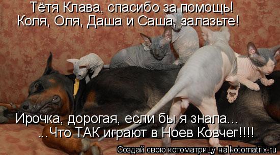 Котоматрица: Тётя Клава, спасибо за помощь! Коля, Оля, Даша и Саша, залазьте! Ирочка, дорогая, если бы я знала... ...Что ТАК играют в Ноев Ковчег!!!!