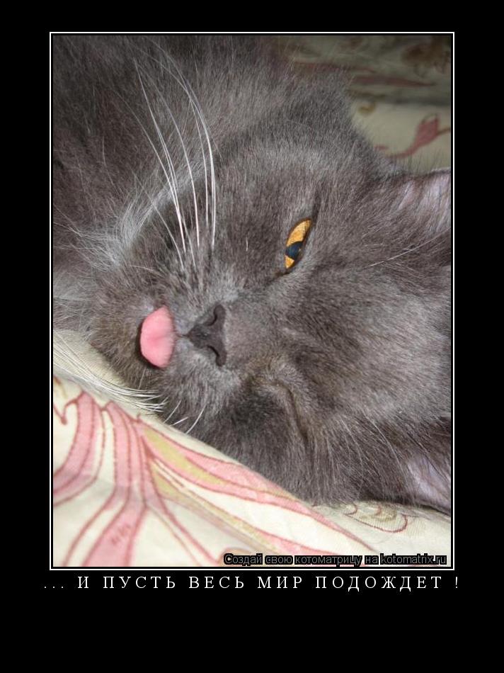 Котоматрица: ... И ПУСТЬ ВЕСЬ МИР ПОДОЖДЁТ ! 