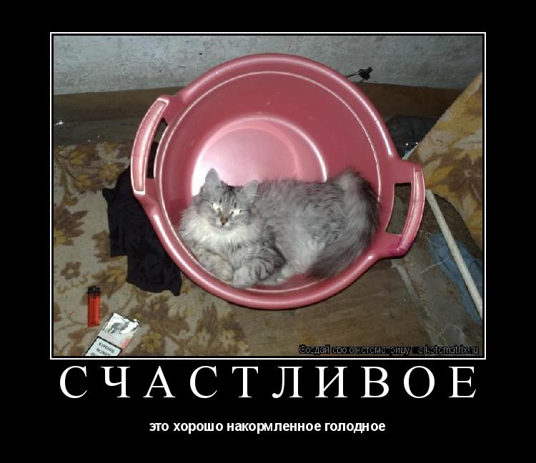 Котоматрица: СЧАСТЛИВОЕ это хорошо накормленное голодное