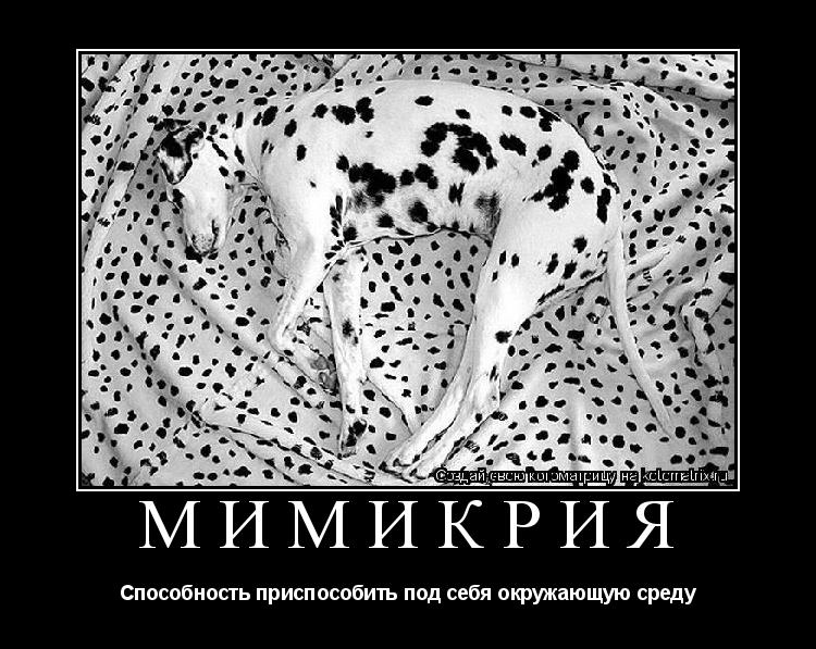 Котоматрица: Мимикрия Способность приспособить под себя окружающую среду