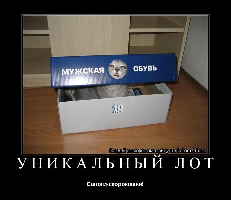 Котоматрица: Уникальный лот Сапоги-скорокошки!