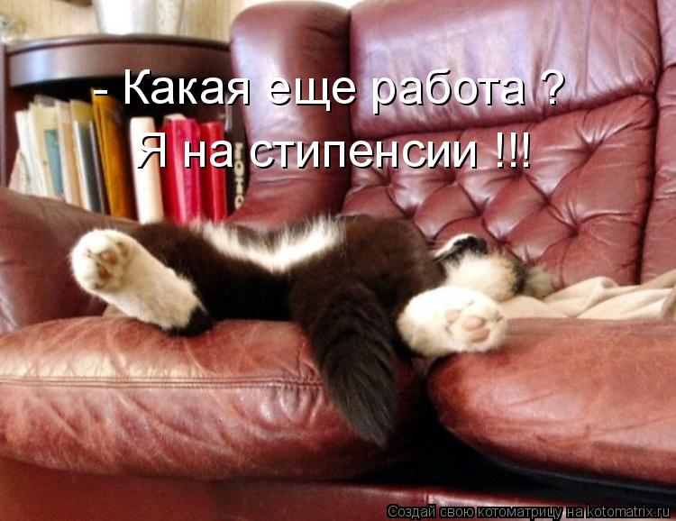 - Какая еще работа ? Я на стипенсии !!!... Котоматрица: - Какая еще работа ? Я на стипенсии !!!
