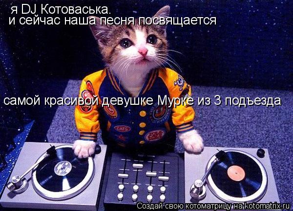 Котоматрица: я DJ Котоваська.  и сейчас наша песня посвящается  самой красивой девушке Мурке из 3 подъезда