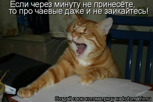 Если через минуту не принесёте, то про чаевые даже и не заикайтесь!... Котоматрица: Если через минуту не принесёте, то про чаевые даже и не заикайтесь!