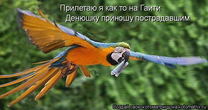 Прилетаю я как то на Гаити Денюшку приношу пострадавшим... Котоматрица: Прилетаю я как то на Гаити Денюшку приношу пострадавшим