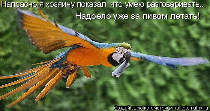 Напрасно я хозяину показал, что умею разговаривать... Надоело уже за пивом летать!... Котоматрица: Напрасно я хозяину показал, что умею разговаривать... Надоело уже за пивом летать!