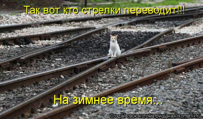 Котоматрица: Так вот кто стрелки переводит!!! На зимнее время...