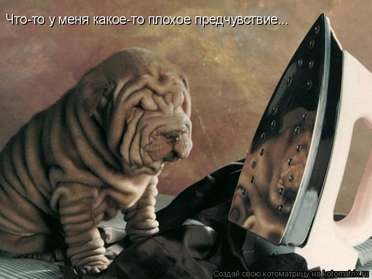 Котоматрица: Что-то у меня какое-то плохое предчувствие...