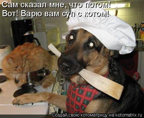 Котоматрица: Cам сказал мне, что потом! Вот! Варю вам суп с котом!