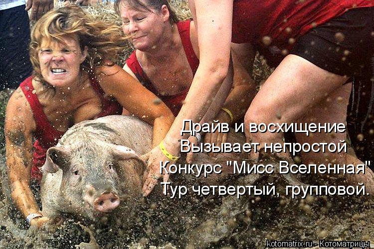 Котоматрица: Драйв и восхищение Вызывает непростой Конкурс "Мисс Вселенная" Тур четвертый, групповой.
