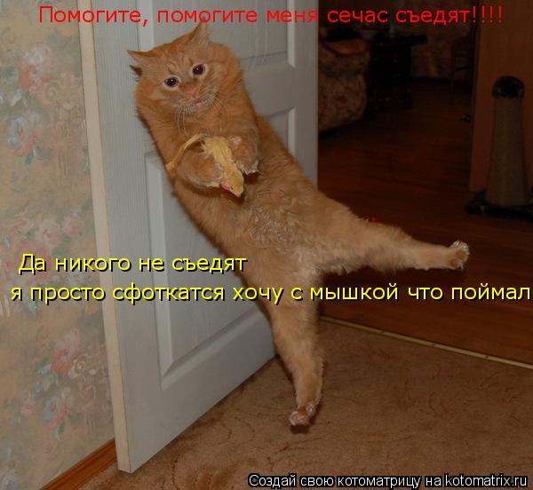 Помогите, помогите меня сечас съедят!!!! Да никого не съедят Да никого не съедят я просто сфоткатся ... Котоматрица: Помогите, помогите меня сечас съедят!!!! Да никого не съедят Да никого не съедят я просто сфоткатся хочу с мышкой что поймал