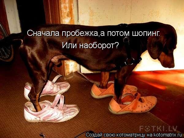 Котоматрица: Сначала пробежка,а потом шопинг. Или наоборот?