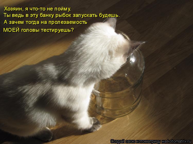 Хозяин, я что-то не пойму. А зачем тогда на пролезаемость МОЕЙ головы тестируешь? Ты ведь в эту банку... Котоматрица: Хозяин, я что-то не пойму. А зачем тогда на пролезаемость МОЕЙ головы тестируешь? Ты ведь в эту банку рыбок запускать будешь.