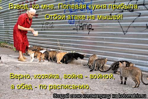 Взвод, ко мне. Полевая кухня прибыла. Отбой атаке на мышей! Верно, хозяйка, война - войной, а обед -... Котоматрица: Взвод, ко мне. Полевая кухня прибыла. Отбой атаке на мышей! Верно, хозяйка, война - войной, а обед - по расписанию.