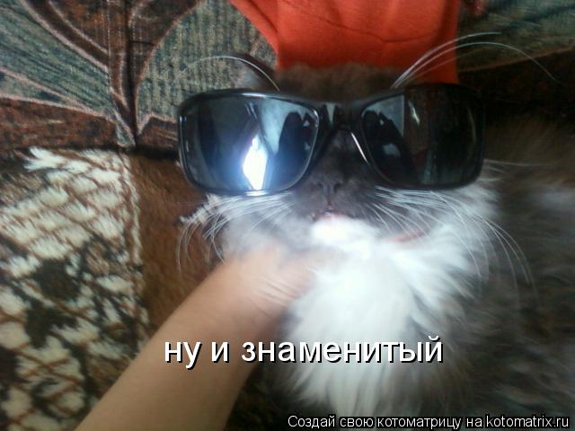 ну и знаменитый... Котоматрица: ну и знаменитый