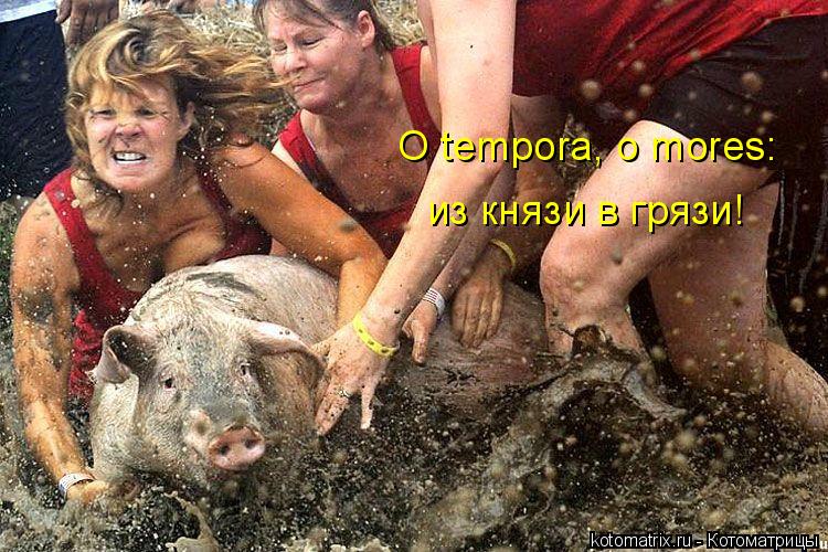 Котоматрица: O tempora, o mores: из князи в грязи!