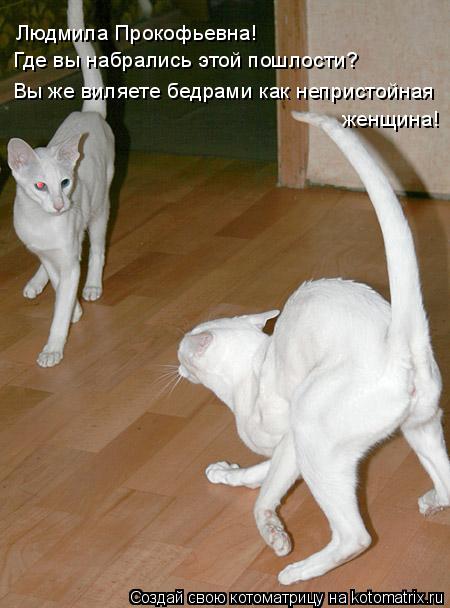 Котоматрица: Людмила Прокофьевна! Где вы набрались этой пошлости? Вы же виляете бедрами как непристойная женщина!