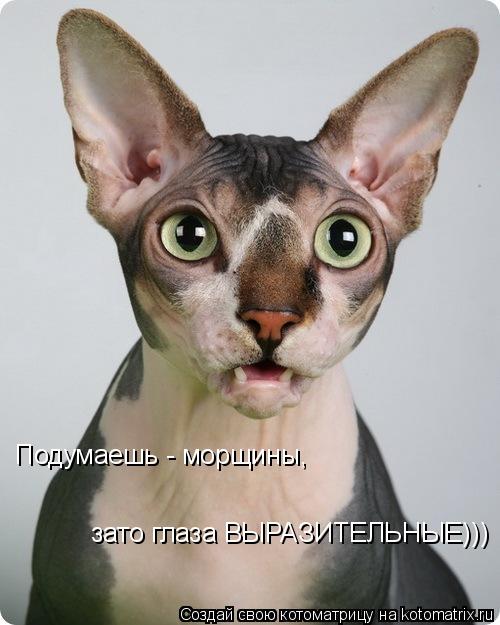 Котоматрица: Подумаешь - морщины,  зато глаза ВЫРАЗИТЕЛЬНЫЕ)))