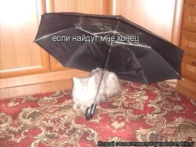 Котоматрица: если найдут мне конец
