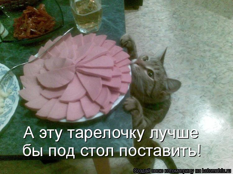 А эту тарелочку лучше бы под стол поставить!... Котоматрица: А эту тарелочку лучше бы под стол поставить!