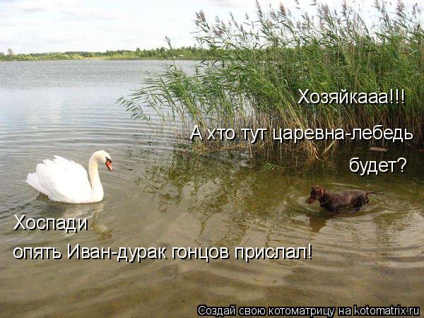 Хозяйкааа!!! А хто тут царевна-лебедь будет? Хоспади опять Иван-дурак гонцов прислал!... Котоматрица: Хозяйкааа!!! А хто тут царевна-лебедь будет? Хоспади опять Иван-дурак гонцов прислал!