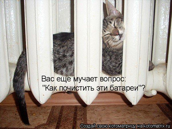 "Как почистить эти батареи"? Вас еще мучает вопрос:... Котоматрица: "Как почистить эти батареи"? Вас еще мучает вопрос: