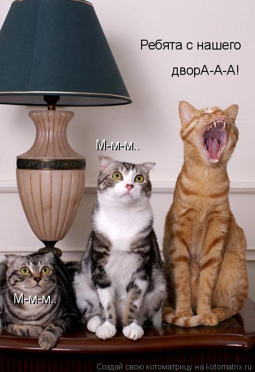 М-м-м.. М-м-м.. Ребята с нашего дворА-А-А!... Котоматрица: М-м-м.. М-м-м.. Ребята с нашего дворА-А-А!