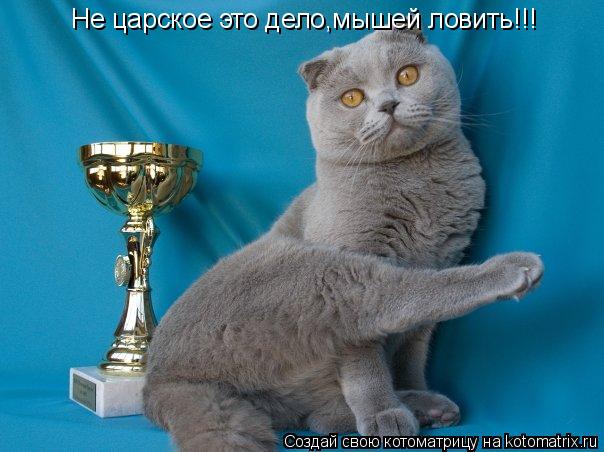 Котоматрица: Не царское это дело,мышей ловить!!!