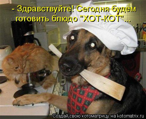 - Здравствуйте! Сегодня будем готовить блюдо "ХОТ-КОТ"...... Котоматрица: - Здравствуйте! Сегодня будем готовить блюдо "ХОТ-КОТ"...