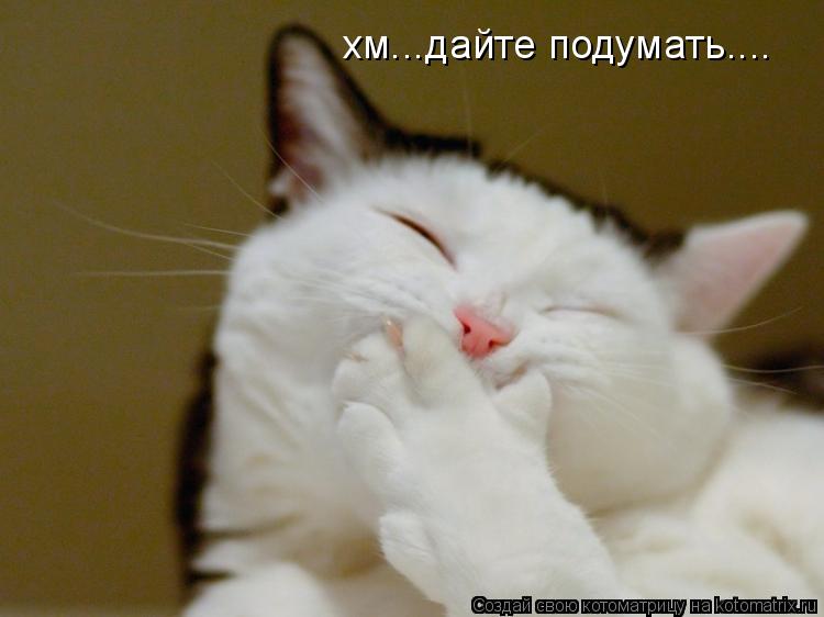 Котоматрица: хм...дайте подумать....