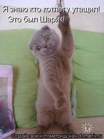 Котоматрица: Я знаю кто котлету утащил! Это был Шарик!