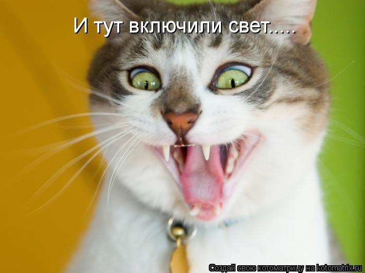 Котоматрица: И тут включили свет.....