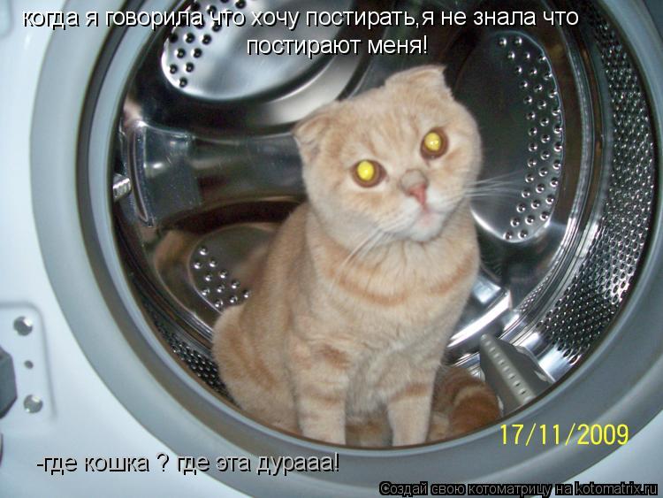 Котоматрица: когда я говорила что хочу постирать,я не знала что  постирают меня! -где кошка ? где эта дурааа!