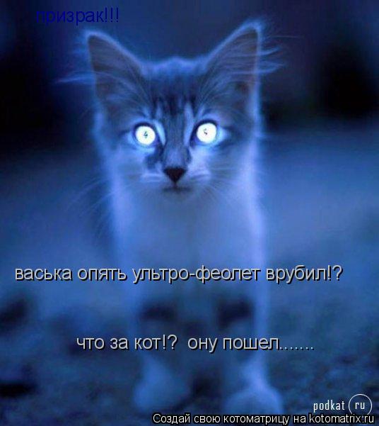 Котоматрица: призрак!!! васька опять ультро-феолет врубил!? что за кот!?  ону пошел.......