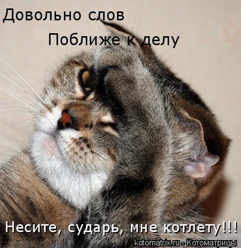 Довольно слов Поближе к делу Несите, сударь, мне котлету!!!... Котоматрица: Довольно слов Поближе к делу Несите, сударь, мне котлету!!!