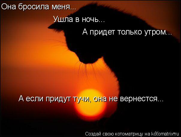 Котоматрица: Она бросила меня... Ушла в ночь... А придет только утром... А если придут тучи, она не вернестся...