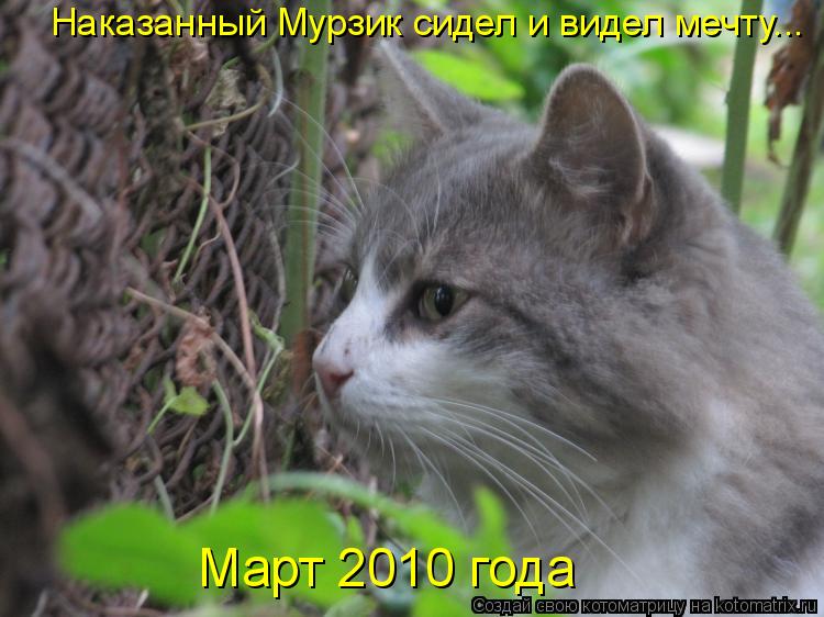 Котоматрица: Март 2010 года Наказанный Мурзик сидел и видел мечту...